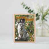 TURKIJE WEER? pelgrimskat Briefkaart (Staand voorkant)