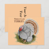 Turkije: wereldklasse kaart (Voorkant / Achterkant)