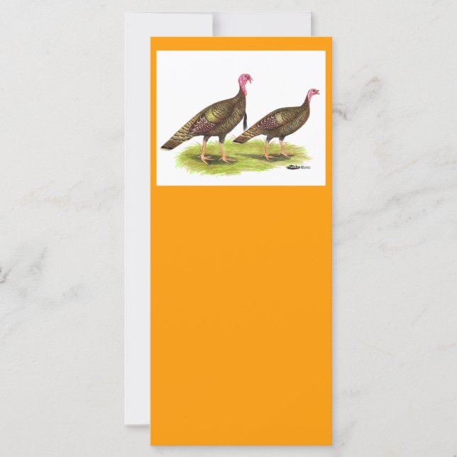 Turkije: Wild Bronze (Voorkant)