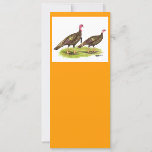 Turkije: Wild Bronze