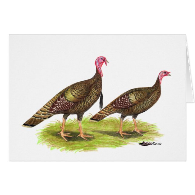 Turkije: Wild Bronze (Voorkant Horizontaal)