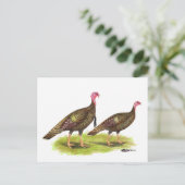 Turkije: Wild Bronze Briefkaart (Staand voorkant)
