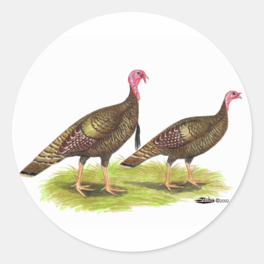 Turkije: Wild Bronze Ronde Sticker (Voorkant)