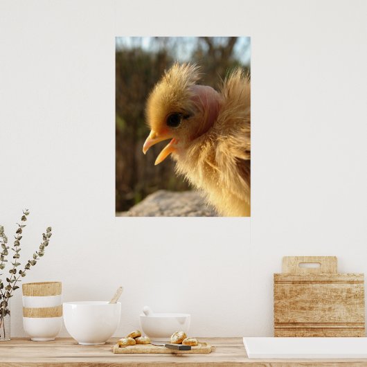 Turkin Chick Poster (Keuken)