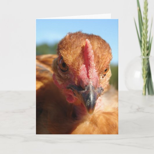Turkin Kuiken Kaart (Voorkant)