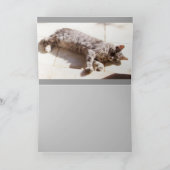 TURKISH CAT KAART (Binnen)