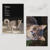 TURKISH CAT VISITEKAARTJE (Voorkant / Achterkant)