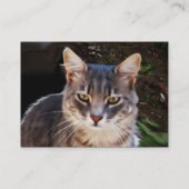 TURKISH CAT VISITEKAARTJE (Achterkant)