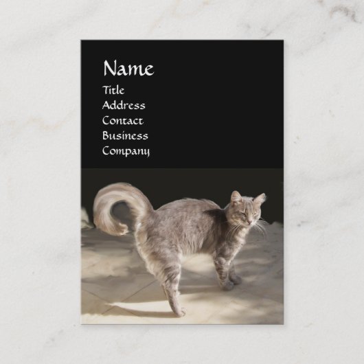 TURKISH CAT VISITEKAARTJE (Voorkant)