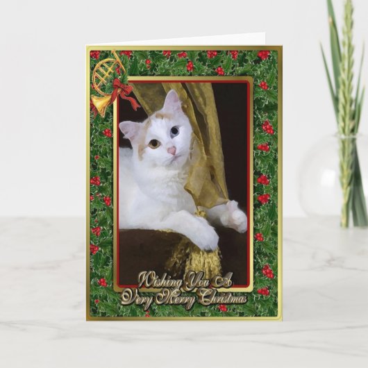 Turkish Van Cat Blank Christmas Kaart (Voorkant)