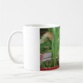 TURKISH VAN CAT IN FLOWERS MOK (Links)