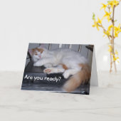 TURKISH VAN IS KLAAR OM JE VERJAARDAG TE VIEREN KAART (Gele Bloem)