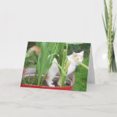 TURKISH VAN SAYS **HAPPY APRIL BIRTHDAY* KAART (Voorkant)