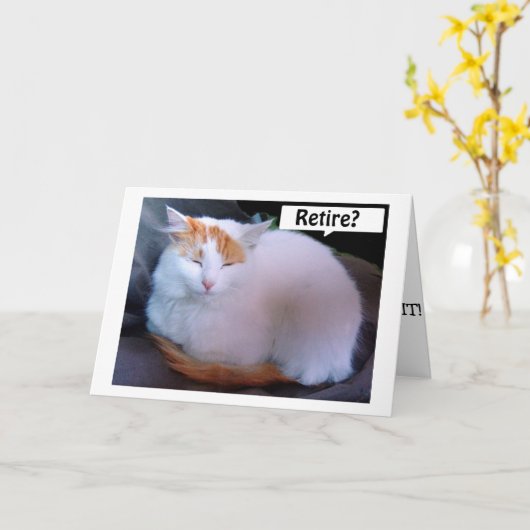 TURKISH VAN ZEGT TIPS OVER HOE JE VAN JE PENSIOEN  KAART (Gele Bloem)