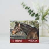 Turkoman briefkaart (Staand voorkant)