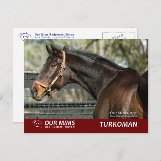 Turkoman briefkaart (Voorkant / Achterkant)