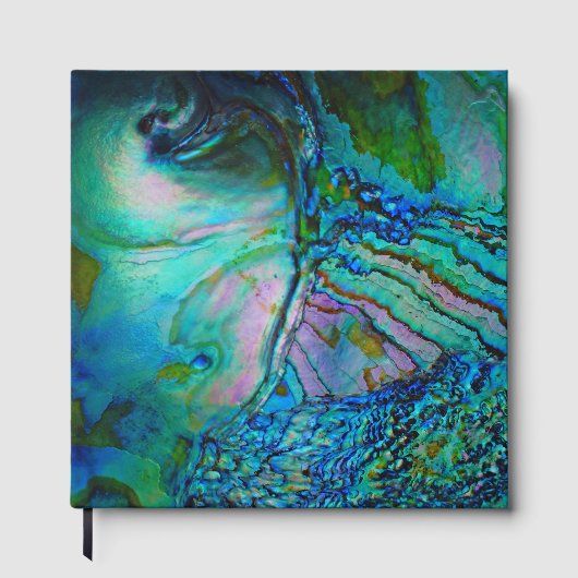 Turkoois & Blauwe Abalone Schelp Gastenboek (Voorkant)