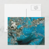 Turkoois Briefkaart (Voorkant / Achterkant)