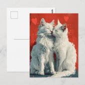 Turks Angora Witte katten Valentijnsdag Briefkaart (Voorkant / Achterkant)
