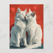 Turks Angora Witte katten Valentijnsdag Briefkaart (Voorkant)