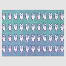 Turks angorkat - Blauwe oogangora