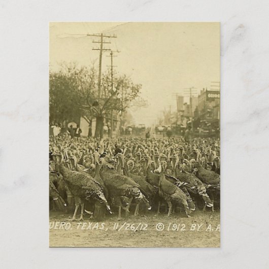  Turks Boerderij foto Briefkaart (Voorkant)