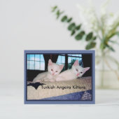 Turks Briefkaart Angora Kittens (Staand voorkant)
