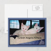 Turks Briefkaart Angora Kittens (Voorkant / Achterkant)