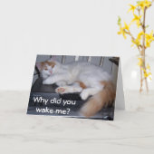 TURKS BUSJE *IK STOND OP* WAAROM HEB JE ME WAKKER  KAART (Gele Bloem)