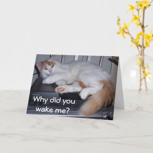 TURKS BUSJE *IK STOND OP* WAAROM HEB JE ME WAKKER  KAART (Gele Bloem)