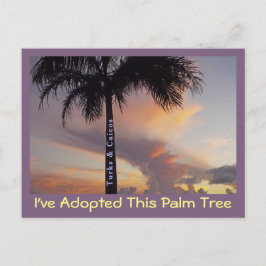 TURKS EN CAICOS BRIEFKAART/"IK HEB PALMBOOM GEADOP BRIEFKAART