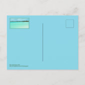 TURKS EN CAICOS/GEKROWDE DAG BIJ DE BEACH (NIET) BRIEFKAART (Achterkant)