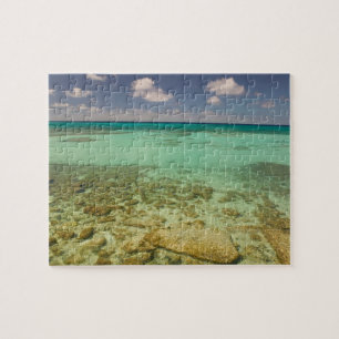Turks en Caicos, Grand Turk Island, Cockburn 2 Legpuzzel