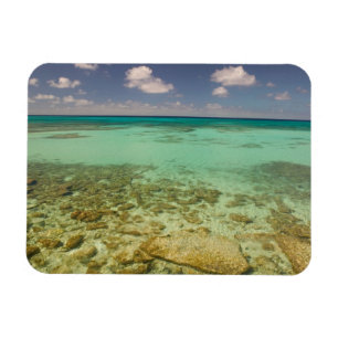 Turks en Caicos, Grand Turk Island, Cockburn 2 Magneet