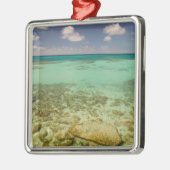 Turks en Caicos, Grand Turk Island, Cockburn 2 Metalen Ornament (Links)