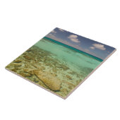 Turks en Caicos, Grand Turk Island, Cockburn 2 Tegeltje (Zijkant)