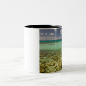 Turks en Caicos, Grand Turk Island, Cockburn 2 Tweekleurige Koffiemok (Center)