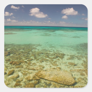 Turks en Caicos, Grand Turk Island, Cockburn 2 Vierkante Sticker