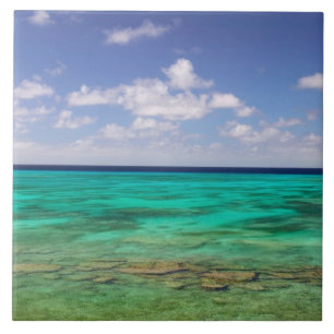 Turks en Caicos, Grand Turk Island, Cockburn 3 Tegeltje