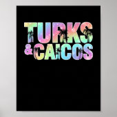 Turks en Caicos Palm Trees Souvenir Poster (Voorkant)