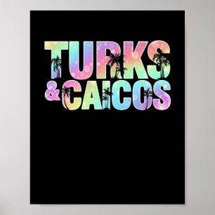 Turks en Caicos Palm Trees Souvenir Poster