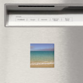 Turks en Caicos, Providenciales eiland, Grace 2 Magneet (Insitu (Vaatwasser))
