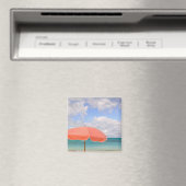 Turks en Caicos, Providenciales eiland, Grace Magneet (Insitu (Vaatwasser))