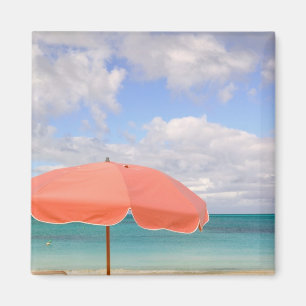 Turks en Caicos, Providenciales Island, Grace Magneet