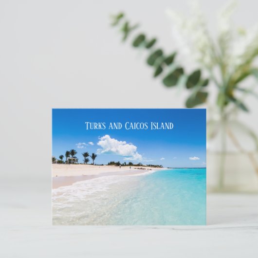 Turks- en Caicoseiland Briefkaart (Staand voorkant)