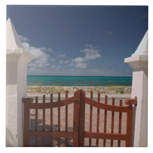 Turks- en Caicoseilanden, Grand Turk Island, Cockb Tegeltje (Voorkant)