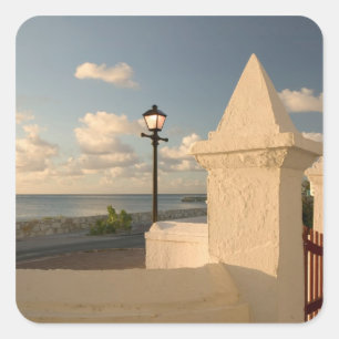 Turks en Caicoseilanden, Grand Turk Island, Cockbu Vierkante Sticker