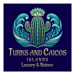 Turks- en Caicoseilanden Perfect Poster