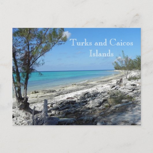 Turks- en Caicoseilanden _ postcard Briefkaart (Voorkant)