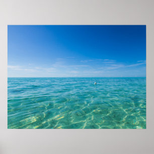 Turks- en Caicoseilanden Poster